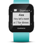Forerunner 35 GPS Running Watch with Wrist-Based Heart Rate (Frost Blue)