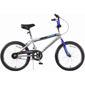 Titan Tomcat Boys BMX with 20" Wheel, Silver/Blue